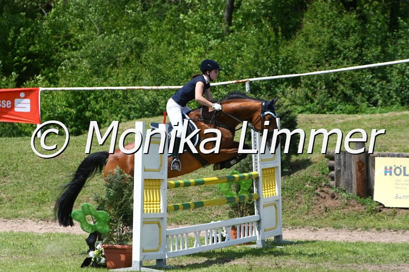 204M3590_Arawindra T_Spring_L.JPG